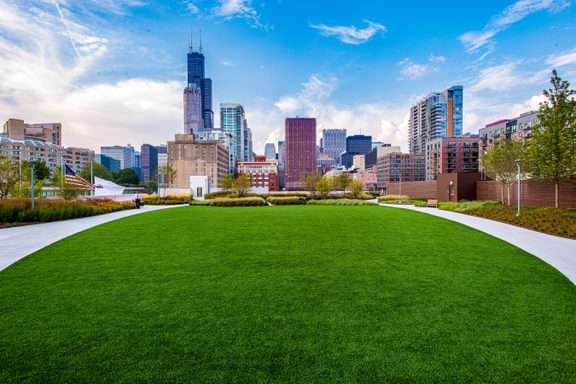 British School Nicholas James Photo 14