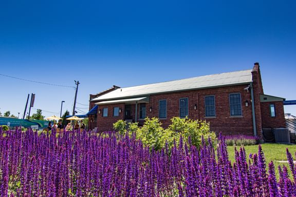 Chicago Lakeside IMG 1651