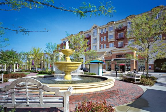 Mc Clarendon SS8 110902 7x10 450dpi cmyk