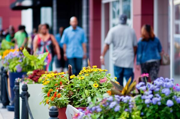 Roosevelt Collection DSC 3667