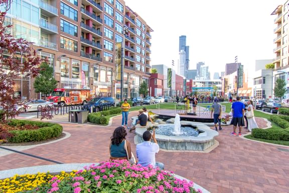 Roosevelt Collection IMG 2843