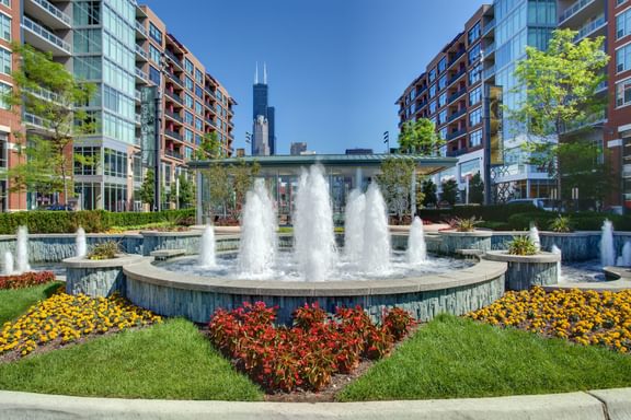 Roosevelt Collection view03 1