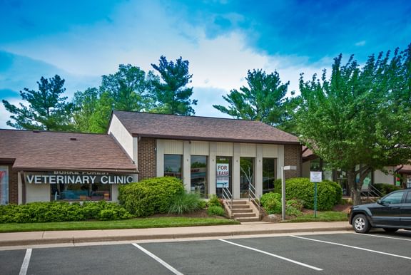 West Springfield Center West Springfield 42