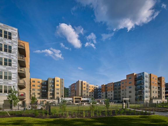 Yards At Three Crossings 2016 07 11 Mc Yard16 A